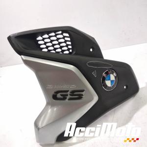 Flanc de carénage avant (gauche) BMW R1250 GS