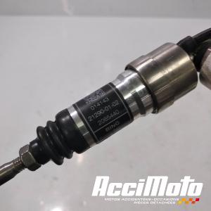 Shifter TRIUMPH SPEED TRIPLE 1200 RS