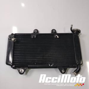 Radiateur de refroidissement KTM 390 RC