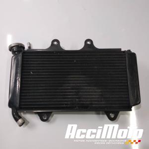 Radiateur de refroidissement KTM 390 RC