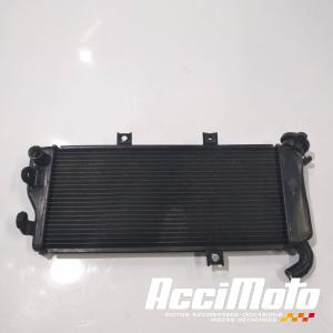 Radiateur de refroidissement KAWASAKI ER6 N