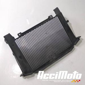 Grille de radiateur BENELLI TRK 502-48