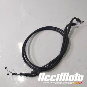 Cable d'accélérateur BENELLI TRK 502-48