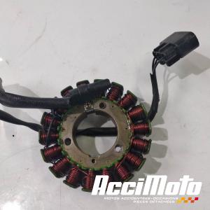 Stator d'alternateur BENELLI TRK 502-48