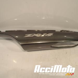 Coque arrière (gauche) KAWASAKI ZZR 1400