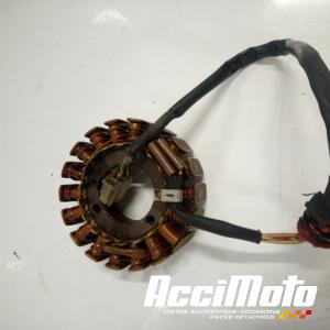 Stator d'alternateur YAMAHA FZ6 S FAZER