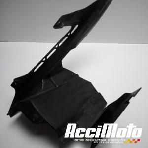 Ras de roue (sur bras oscillant) KAWASAKI Z 900