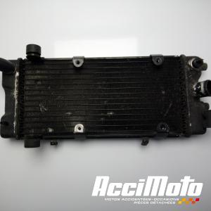 Radiateur de refroidissement HONDA SHADOW VT600C