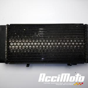 Radiateur de refroidissement HONDA SHADOW VT600C