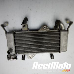 Radiateur de refroidissement YAMAHA YZF-R 125