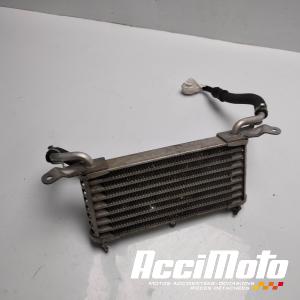 Radiateur d'huile BMW S1000 R