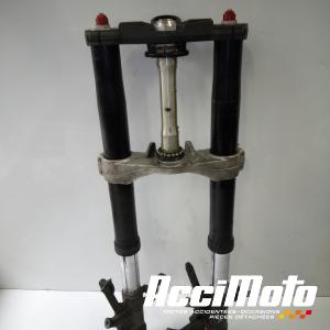 Fourche complète KAWASAKI ZZR ZX1400
