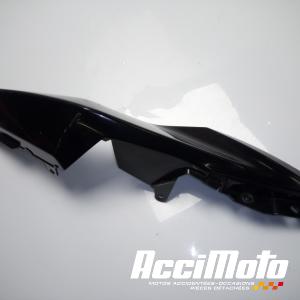 Coque arrière (gauche) KAWASAKI NINJA EX300