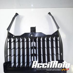 Grille de radiateur YAMAHA XTZ TENERE 700