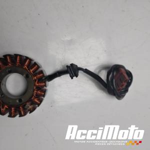 Stator d'alternateur KTM 690 SMC