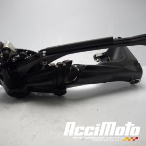 Bras oscillant BMW R NINE T