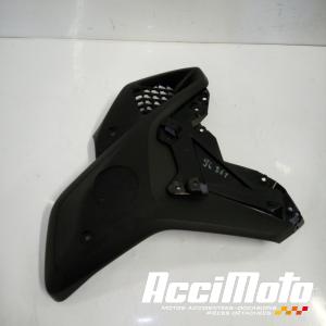 Flanc  de carénage avant (droit) BMW R1250 GS