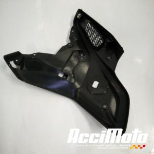 Flanc  de carénage avant (droit) BMW R1250 GS