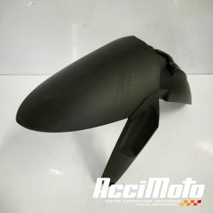 Garde-boue avant BMW R1250 GS
