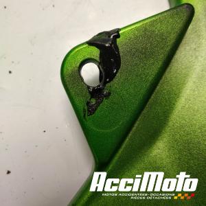 Coque arrière de carénage KAWASAKI Z 1000SX