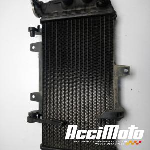 Radiateur de refroidissement BMW F700 GS