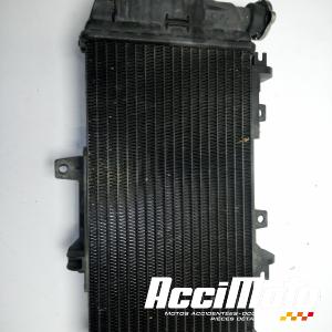 Radiateur de refroidissement BMW F700 GS