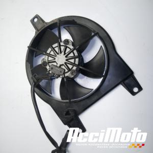 Ventilateur de radiateur  BMW F700 GS