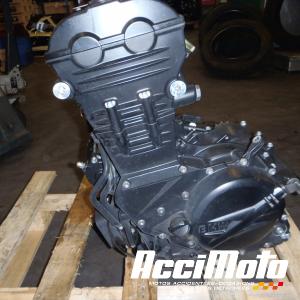 Moteur BMW F700 GS