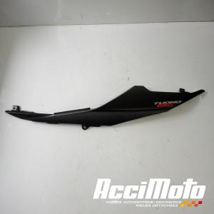 Coque arrière (gauche) APRILIA TUONO 660