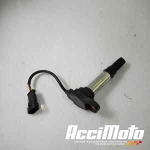 Bobine crayon APRILIA TUONO 660