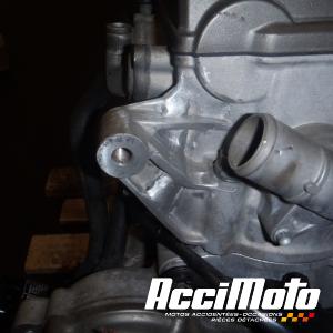 Moteur APRILIA TUONO 660