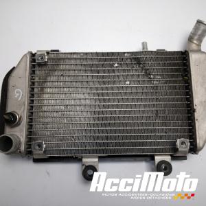 Radiateur de refroidissement HONDA VFR800 VTEC