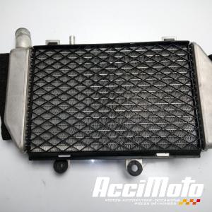 Radiateur de refroidissement HONDA VFR800 VTEC