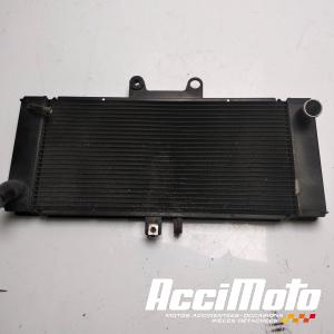 Radiateur de refroidissement SUZUKI GSXF 650