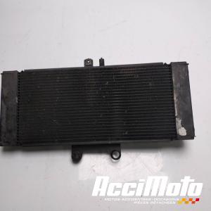 Radiateur de refroidissement SUZUKI GSXF 650