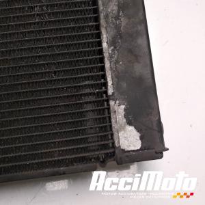 Radiateur de refroidissement SUZUKI GSXF 650