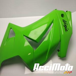 Flanc de carénage avant (gauche) KAWASAKI NINJA EX250R