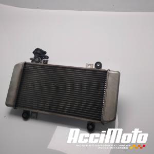 Radiateur de refroidissement KAWASAKI NINJA EX250R