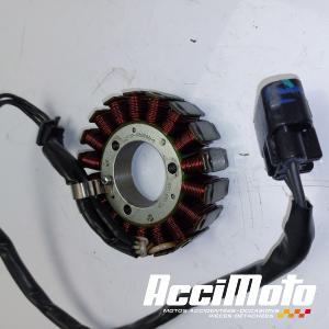 Stator d'alternateur CF MOTO MT 650