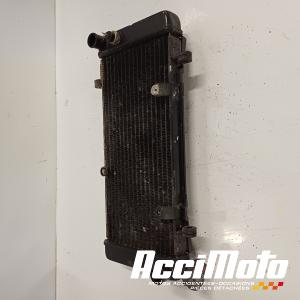 Radiateur de refroidissement HONDA VFR750