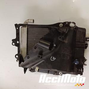 Radiateur de refroidissement HONDA GL1800 GOLDWING