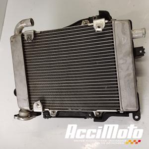 Radiateur de refroidissement HONDA GL1800 GOLDWING