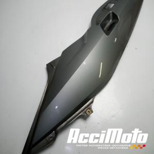 Coque arrière (gauche) BMW R1200 RT