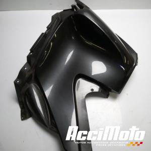 Flanc de carénage avant (gauche) BMW R1200 RT