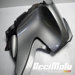 Flanc de carénage avant (gauche) BMW R1200 RT