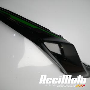 Coque arrière (droite) KAWASAKI Z 650