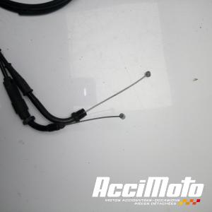 Cable d'accélérateur VOGE 500 R