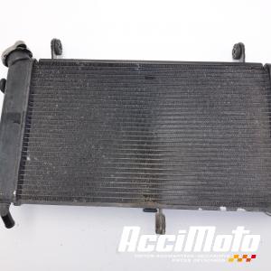 Radiateur de refroidissement SUZUKI GSR 750