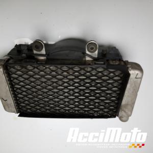 Radiateur de refroidissement HONDA VFR800 FI (98-01)