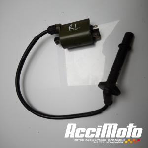 Bobine d'allumage HONDA VFR800 FI (98-01)